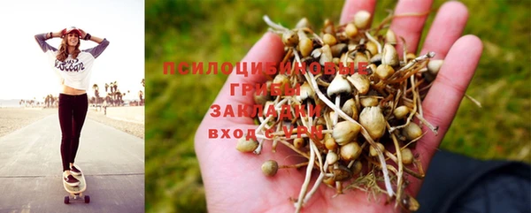 a pvp Балабаново