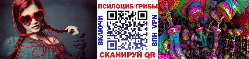 MEGA зеркало  Судак  Псилоцибиновые грибы мухоморы  дарнет шоп 